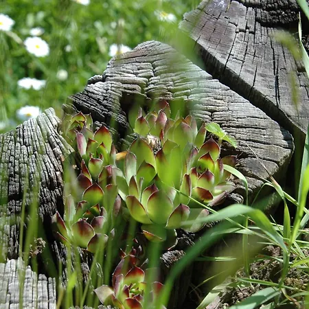 Haus Diefenbach Πανσιόν Heimbach