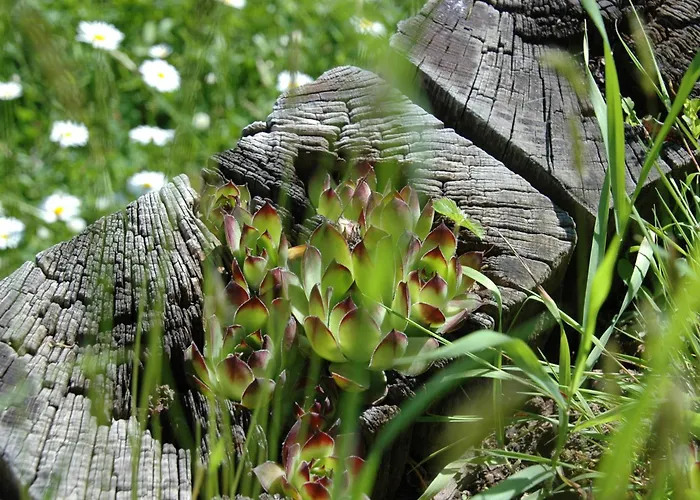 Haus Diefenbach Konukevi Heimbach